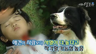 잘 놀다가 아이를 공격한 반려견 ㄷㄷ;; 갑자기 돌변한 이유는...?｜KBS 위기탈출넘버원 101101 방송