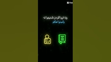 القران الكريم 3