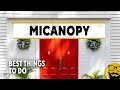 Top Things to See & Do in Micanopy, Florida