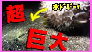 釣り図鑑釣りいろはと一緒に釣り図鑑を埋めろ #3