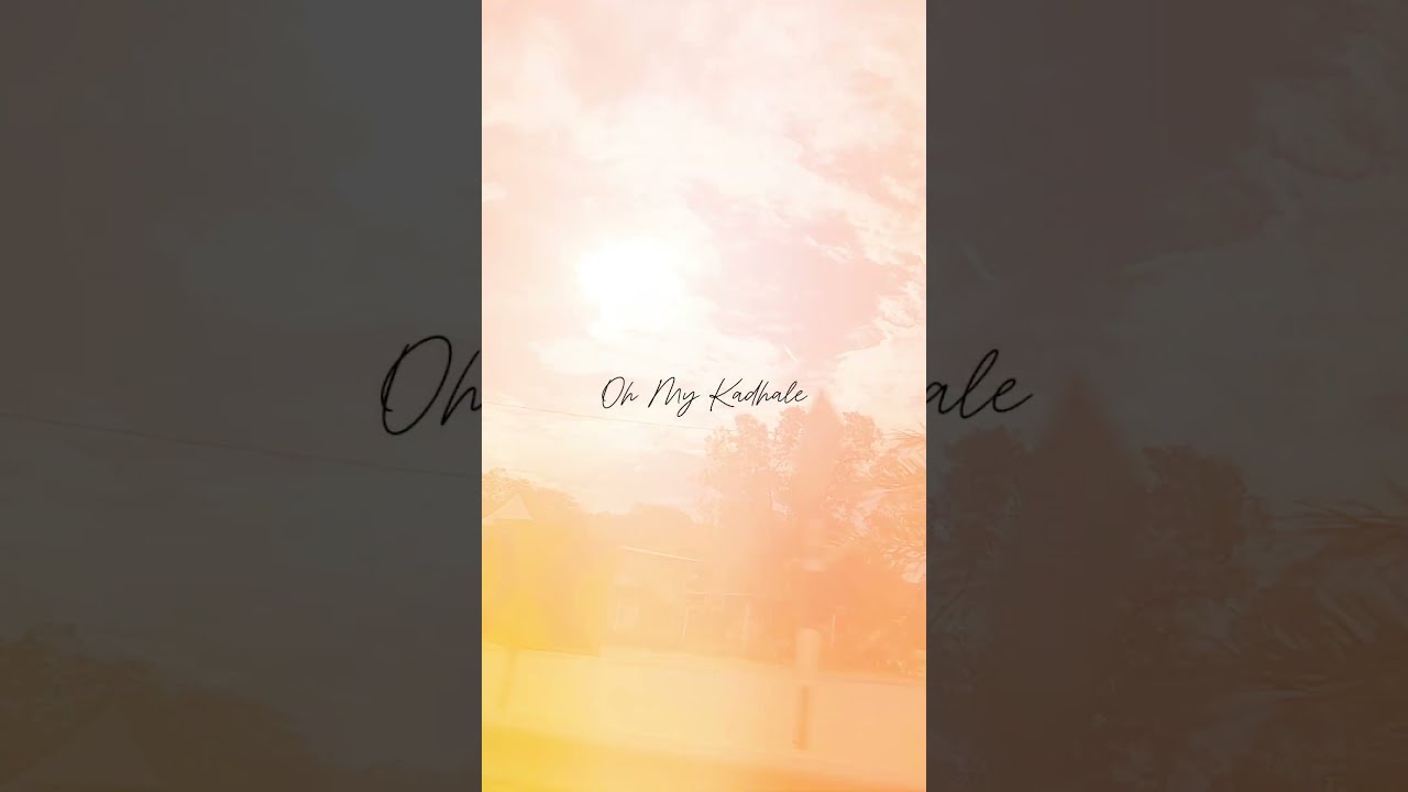 Zubir Khan X Ezra Kairo - OMK (Oh My Kadhale)