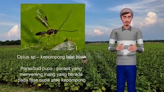 Pengantar Ilmu Pertanian #Pengendalian hayati