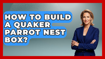 How To Build A Quaker Parrot Nest Box? - Bird Watching Diaries