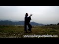 Wudang Tai Chi 108 by Master Chen Shiyu