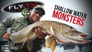 FLY TV  Shallow Water Monsters  Fly Fishing for Big Pike