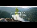 Forest to Frame (Spanish) - Del Bosque a la Estructura