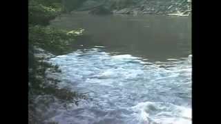 Cremation Information US - White Water