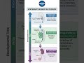Succession/Evolution of Kidney in Vertebrates in 2 minutes #zoology #neet #nepbsc #biologyshorts