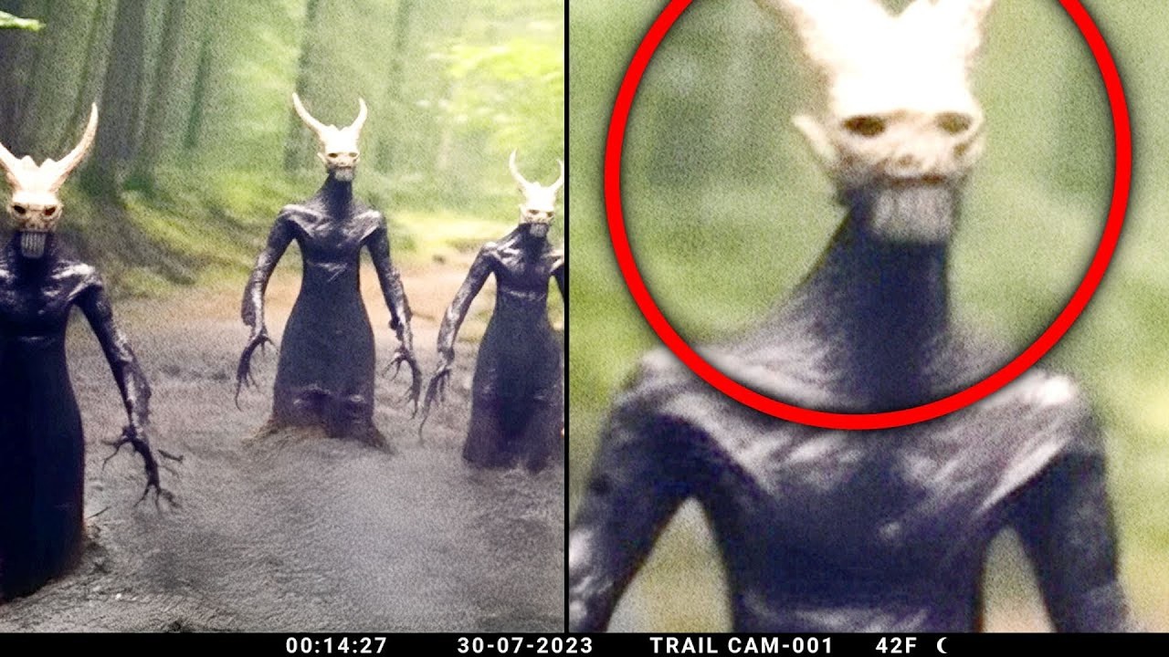 Top 10 Disturbing Discoveries Found Deep in Forests