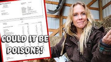 358 😮How to Read a Hay Analysis Report For Horses - 1st vs 2nd cutting Hay vs Rained on Hay