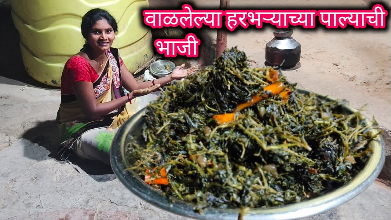 वाळलेल्या हरभऱ्याच्या पाल्याची अस्सल गावाकडची भाजी  Harbharyachi bhaji recipe in marathi | dailyvlog