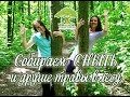 Yoga-Life / Собираем сныть и другие травы в лесу)