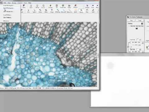 Pro-Series Turboscan Plug-in - Image-Pro Plus Software