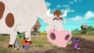 हिंदी Oggy and the Cockroaches -  🐮 गाय और तिलचट्टे 🐄 - Hindi Cartoons for Kids