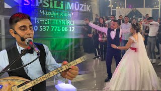 İsmail Peynirci Canlı Düğün Performansı