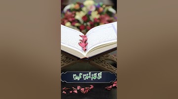 { إن هذا القرآن يهدي للتي هي أقوم } ترتيل بديع من سورة الإسراء || أحمد جليل مولوي