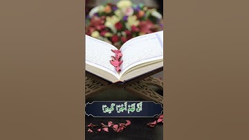 { إن هذا القرآن يهدي للتي هي أقوم } ترتيل بديع من سورة الإسراء || أحمد جليل مولوي