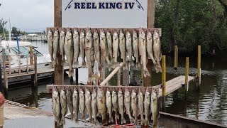 Walleye Fishing On Lake Erie...We Caught Our Limit In 2 Hours!!