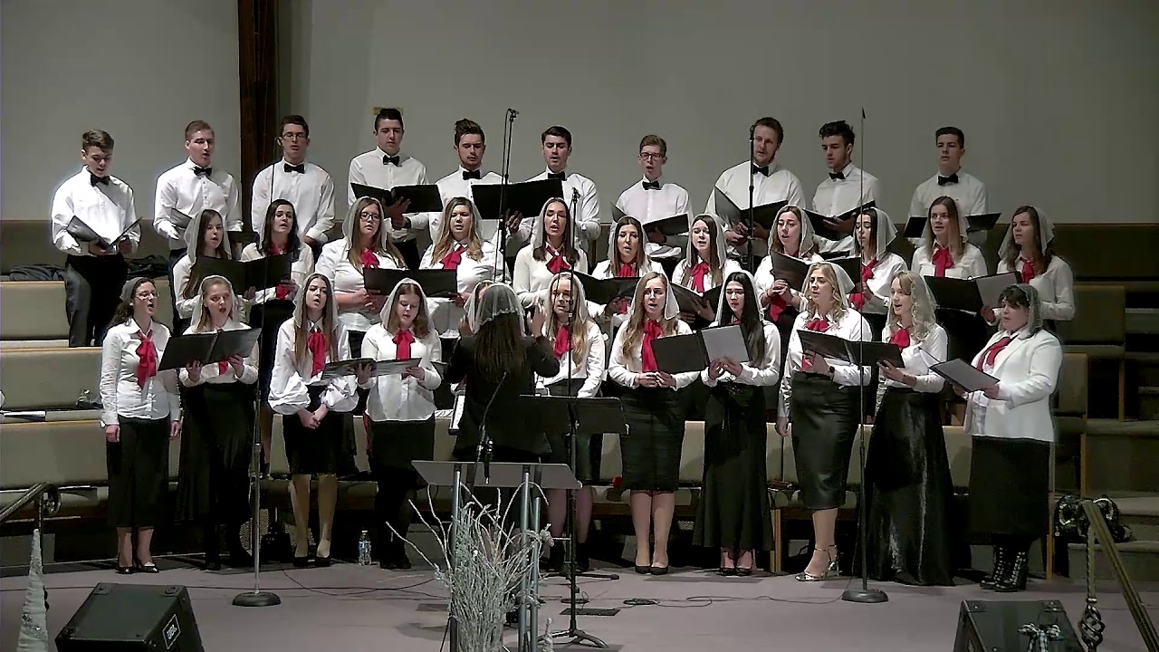 the knot Защитник