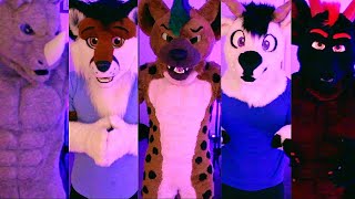 Suiting Up in All 5 of My Fursuits!