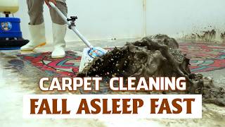 Carpet Cleaning ASMR for Night Sleep – Soothing Sounds, Anxiety Relief, Deep Sleeping screenshot 4
