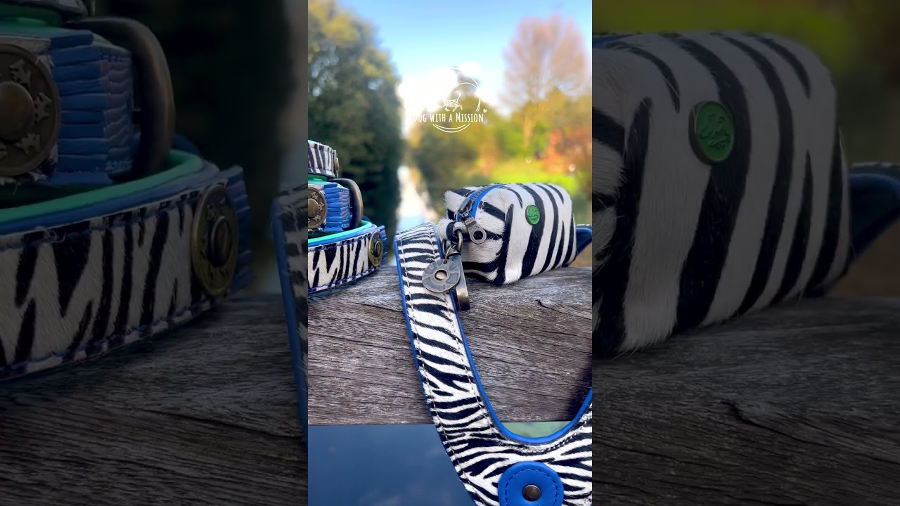 Dog with a Mission - Dandy Dog Collar