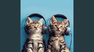 Gentle Cat Harmonics