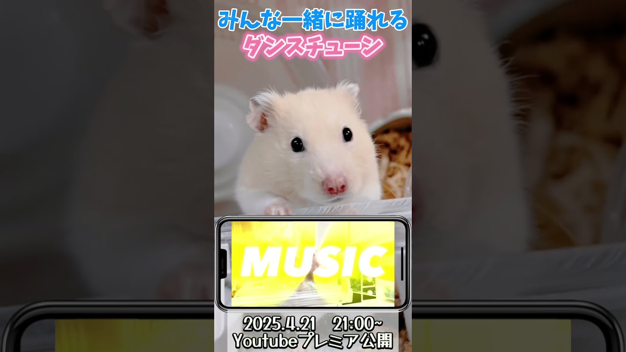 新曲告知4.20 ハムスターアテレコ動画+生成ai - YouTube