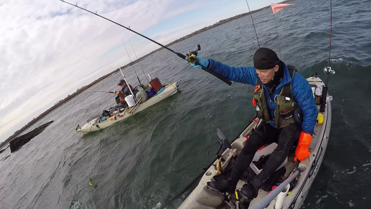 Tautog kayak fishing 11/10/19 YouTube