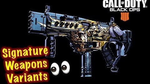 Signature Weapon and Mastercraft Weapon VARIANTS in Black Ops 4 | Call of Duty BO4