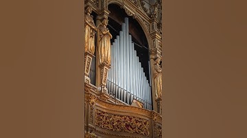 Charles-Marie Widor - ALLEGRO from Organ Symphony No.6, Op.42 | Roberto Bertero (Organ)