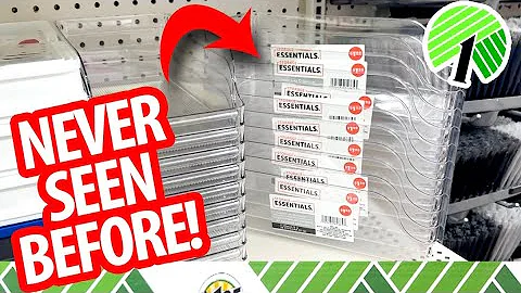 😲Genius *NEW* Dollar Tree Organization HACKS!  AMAZING DIYS! WORTHY finds to GRAB NOW!