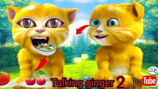 Talking ginger funny videos 🤠🤣😻| talking tom | talking ginger | tom ginger | ginger 2 | play videos