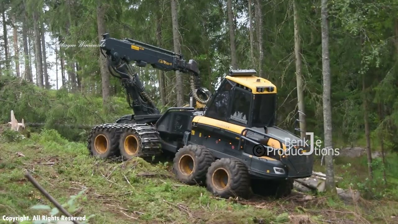 Nedtagning av skog 2025/07/21 (3)
