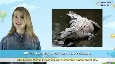 YODOSE - TIẾNG ANH LỚP 5 - UNIT 9: What did you see at the zoo? - Bài học 1