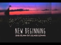 Denis Stelmakh Journey To The West Icelandic Elephants Remix 