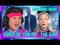 Americans react to Birds of Tokyo - The Gap (Official video) | THE WOLF HUNTERZ Jon and Dolly