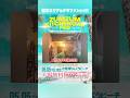 【KENTY GROSSよりコメント到着】5/5(火祝)常滑りんくうビーチでZUMZUM KITCHENCAR FES 入場無料開催🔥クラファンのご支援よろしくお願いします!!