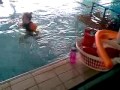 Kuwerswimming11122010.