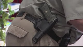 Local delegate calls legislation allowing armed teachers a "kindergarten carry bill"