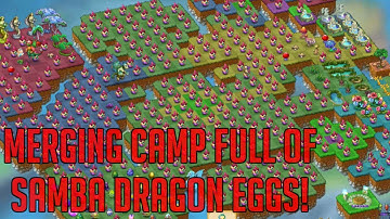 Camp FULL Of Samba Dragon Eggs! | Merge Dragons
