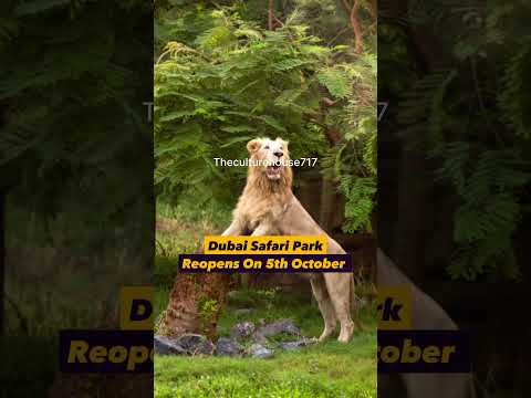 Get Ready ! #dubai #garden #zoo #globalvillage #safari #viral #shortvideo #youtubeshorts #trending