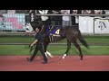 【スパーキングレディーカップ2026】全頭パドック 現地映像 タガノミスト