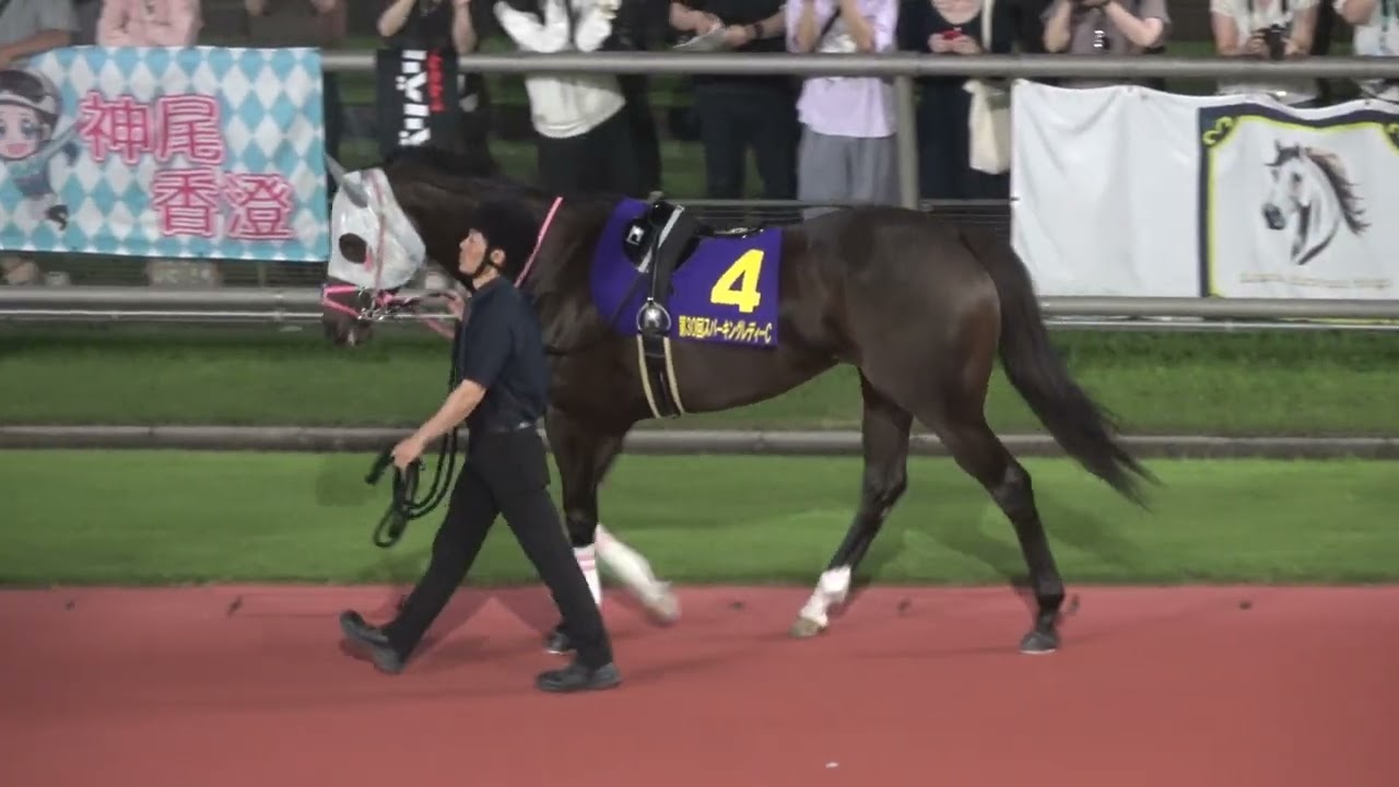 【スパーキングレディーカップ2026】全頭パドック 現地映像 タガノミスト