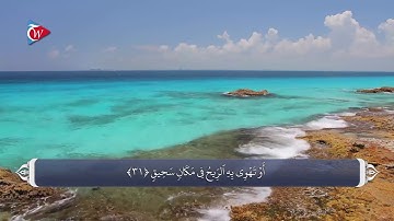 نهی از شرک    آیه 31 سوره حج