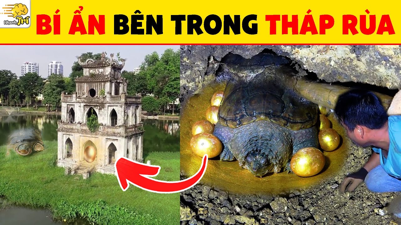 TOP 5+6 BÍ ẨN LY KỲ VÀ THÚ VỊ CỤ RÙA HỒ GƯƠM MÀ 99,9% DÂN HÀ NỘI CHÍNH ...