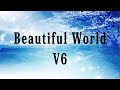 V6 / Beautiful World