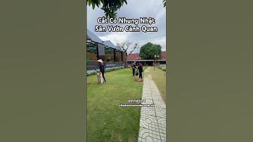 Cắt cỏ nhung nhật. Cỏ nhung nhật. Sân vườn cỏ nhung nhật. Dịch vụ cắt cỏ sân vườn.Cắt cỏ. Máy cắt cỏ