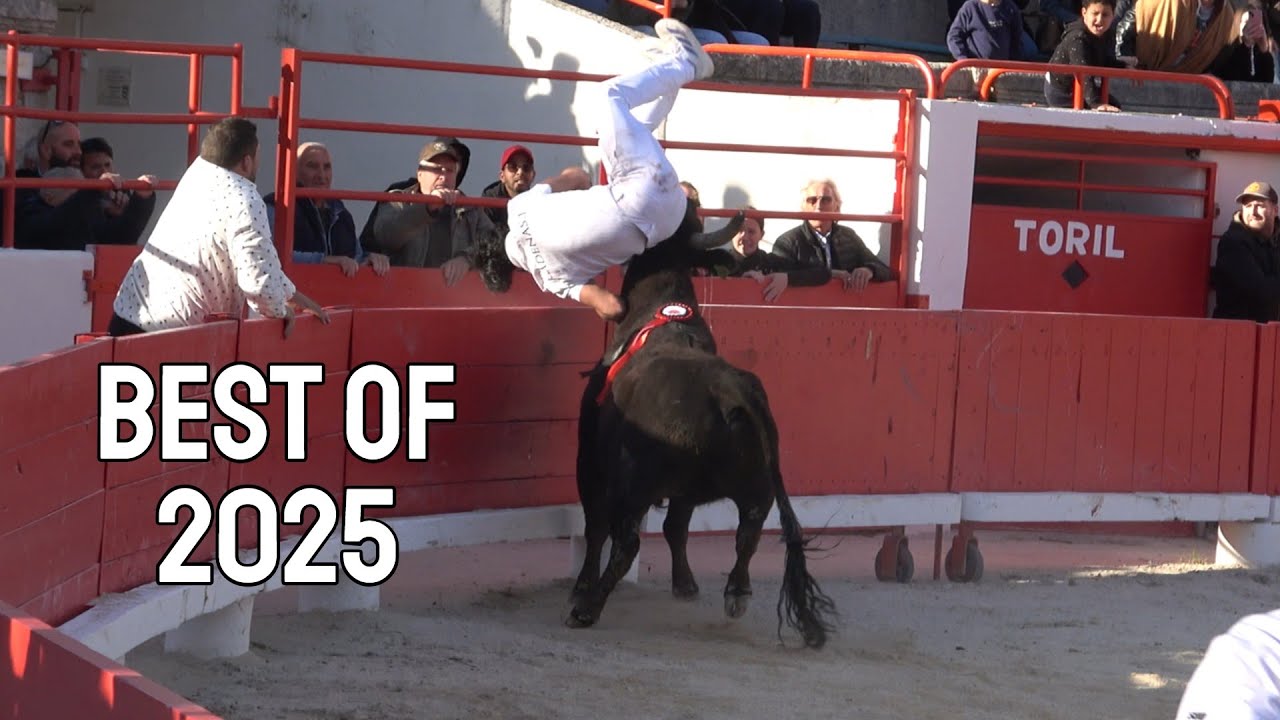 BEST OF COURSE CAMARGUAISE 2025