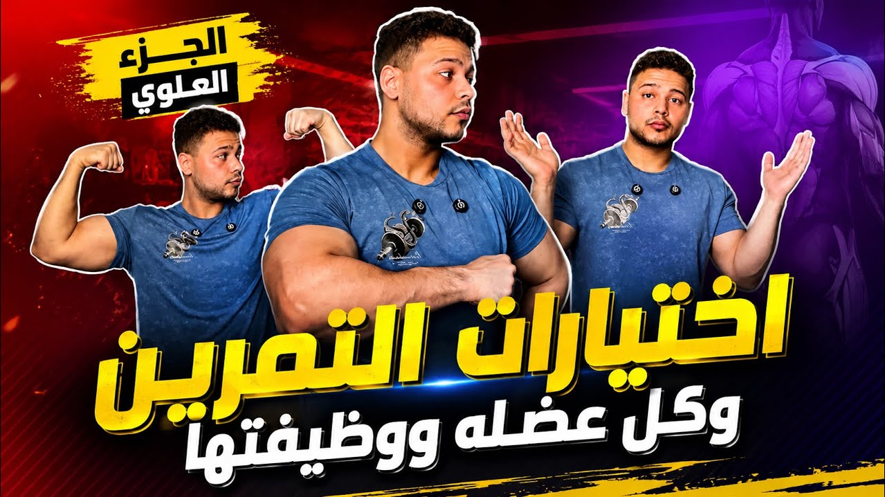 اختيارات التمرين ( كل عضله ووظيفتها ) الجزء العلوي 